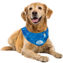 All For Paws Chill Out Ice Bandana Smart Kylhalsduk