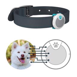 Sureflap Dog Animo Behavioral Monitor Aktivitetsmätare för hunden