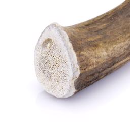 The Wild Antler 100% Naturliga Hjort Gevir Medium För Tuggbehov och Tandrengöring