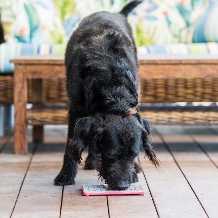 LickiMat hundmat kan ha Buddy Red Deluxe matning med aktivering