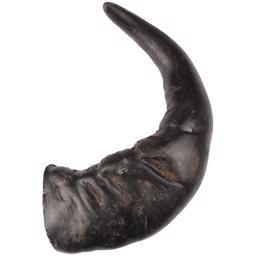 Flamingo Buffalo Horn Full Längd Äkta Buffelhorn 1 st Large