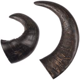 Flamingo Buffalo Horn Full Längd Äkta Buffelhorn 2 st Medium
