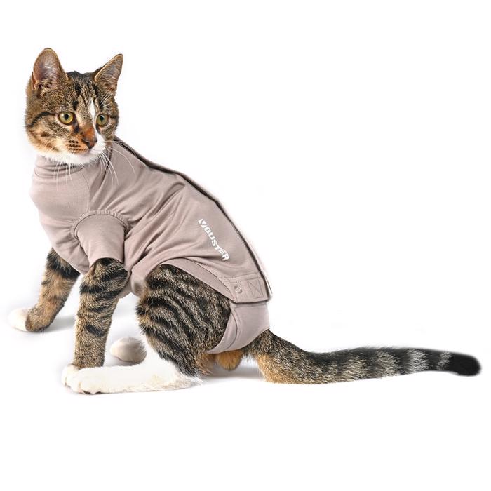 Buster kroppsdräkt för katter designad av veterinärer