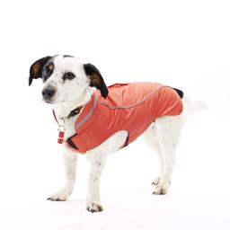 Hundkläder Buster Outdoor Rain Jacket Strawberry