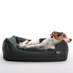 Hundsängar Buster Black Sicilien
