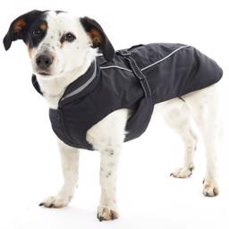 Buster Softshell Outdoor Dog Jacket Black Pepper