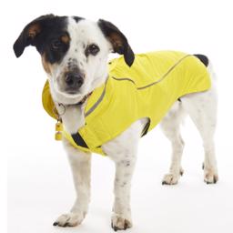 Hundkläder Buster utomhus regnjacka citron