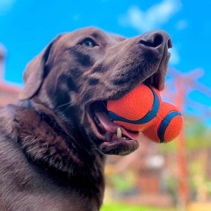 Chuckit Ultra Tumbler Ball för land och vatten
