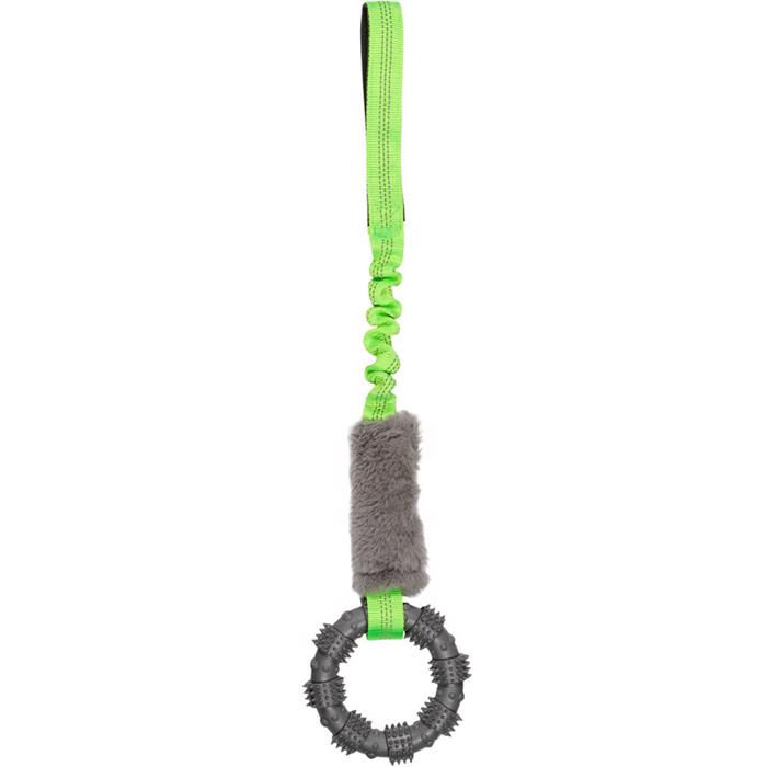 Companion Bungee Toy för interaktiv lek och träning Mintgrön