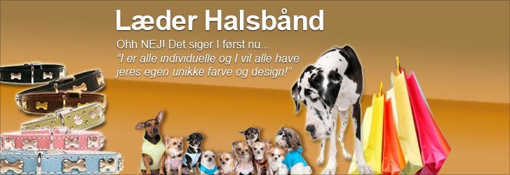 Läderhalsband - Royal Tough och blinkande ben från Hooked4Pets