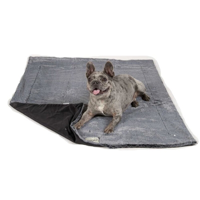 DGS Itchy Witchy Healing Filt för Hund 76 x 102 cm