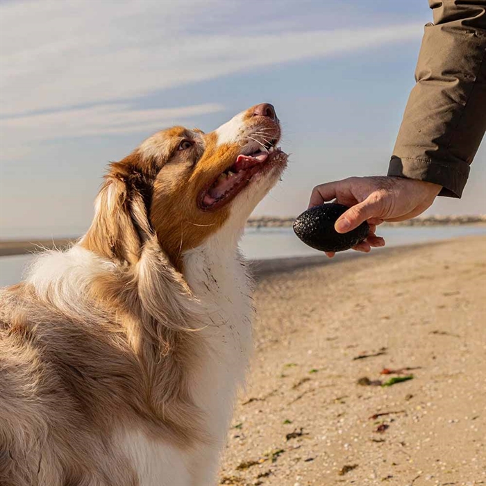 Ferplast Chewa Boing Rugbyboll För Hunden Medium Svart