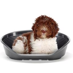 Siesta DeLuxe Hund Plastbädd För Utomhus & Inomhus GREY