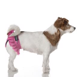 Finnero Ballerina Löptidsbyxor För Hundar med Svans Rosa