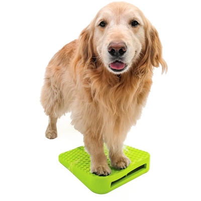 FitPaws Dog Balance Ramp För Rehabilitering & Styrka LIME