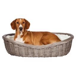 Trixie Flätad Hundkorg Rattan Med Dyna och Plyschfoder