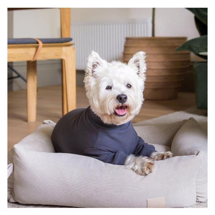 Fuzzyard Dog Pyjamas Design Life Soft Touch Slate Grey