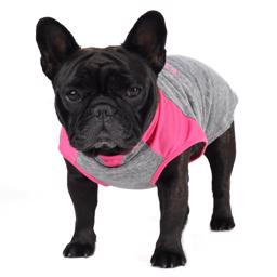 Go Fresh Dog-tröja i grått och rosa