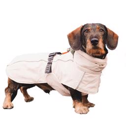 Hunter Dog Jacka Nordby Dachshund & Long Dogs Cream