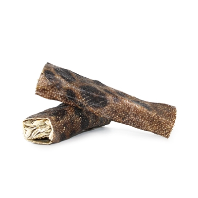 Gunni's Wolffish Stor Tuggstång av Ren Havskattsskinn Från Island 1st