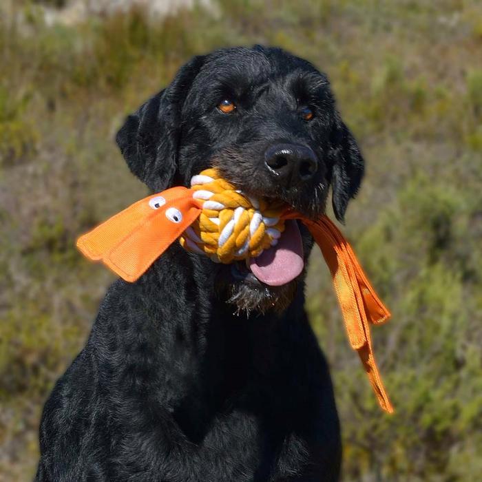 Rogz Cowboyz Knutboll för hunden i orange