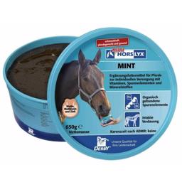 Horslyx Mini Lick Mint Godis FÖR Hästen - DATUM