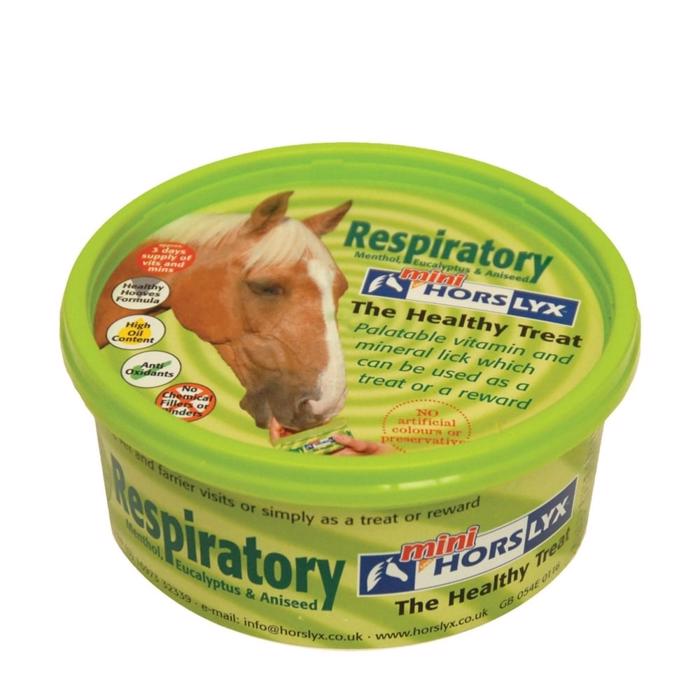 Horslyx Mini Lick Respiratory Candy For The Horse