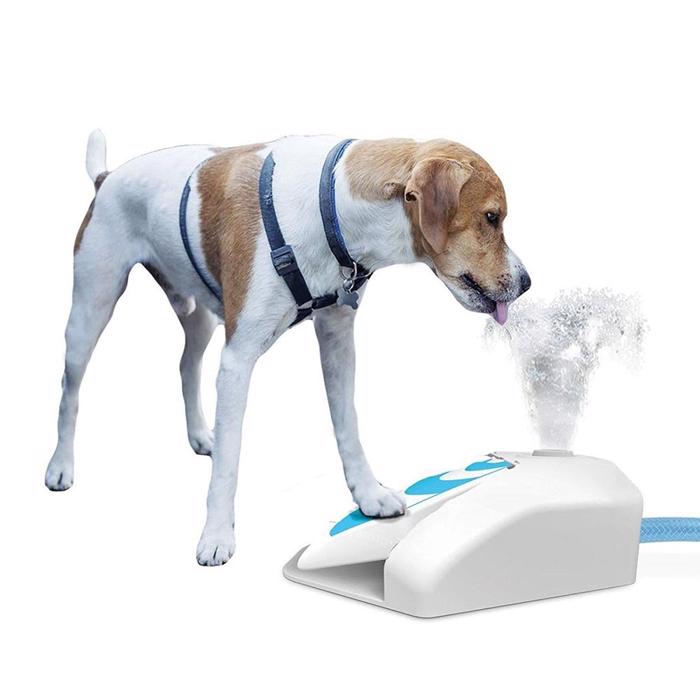 Trädgårdsfontän för din hund från All For Paws