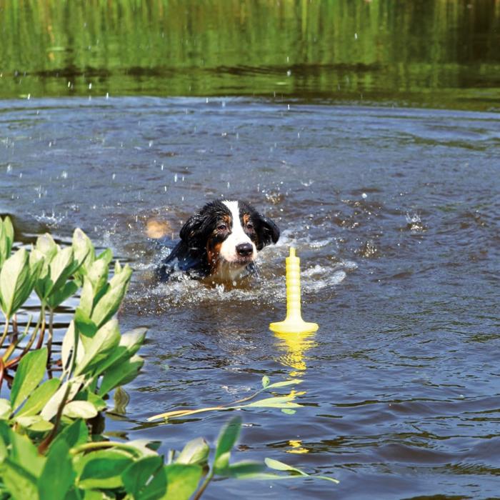 DogActivity MotAqua Hundträning i Vatten Gul