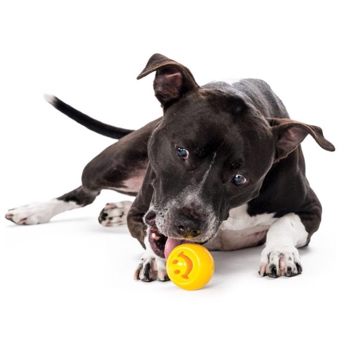 Planet Dog Hundeleksak för aktivering Smiley