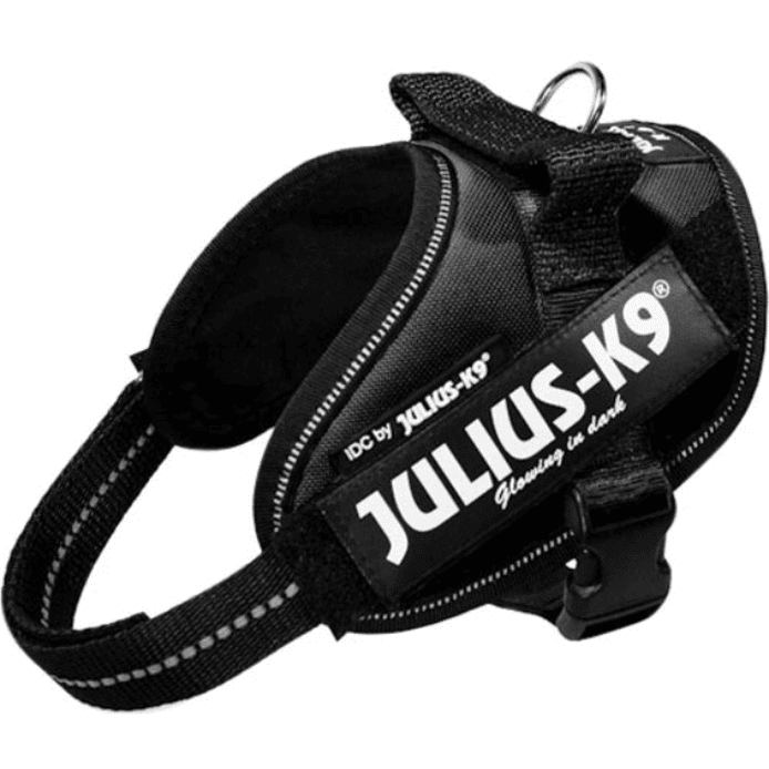 Hundselen från Julius K9 USA i vackert svart