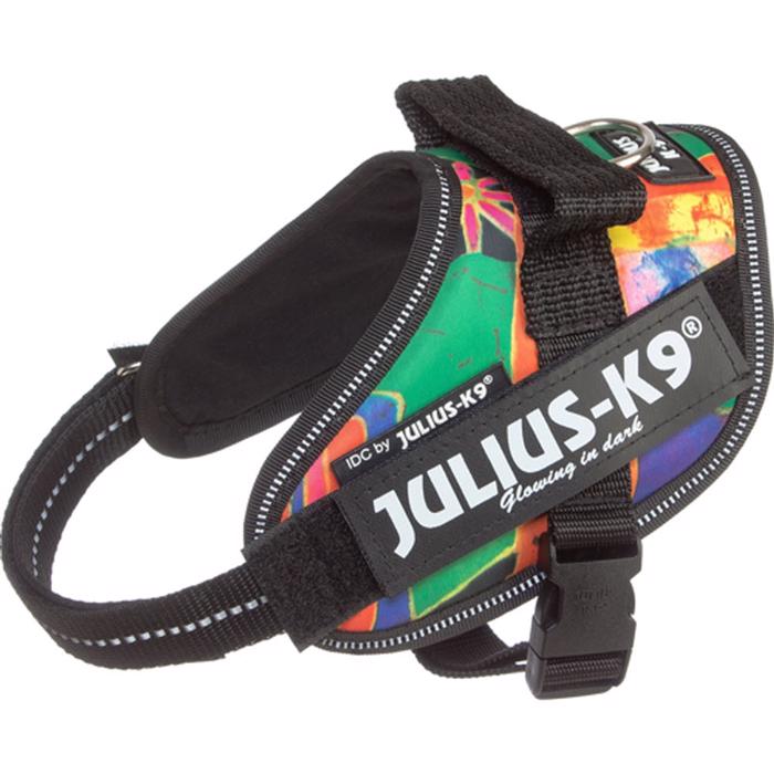 Julius K9 sele IDC Raggae Canis Hundsele