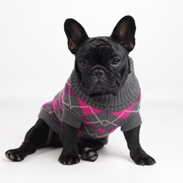 Stickad tröja för hunden i vackra rosa och grå rutor