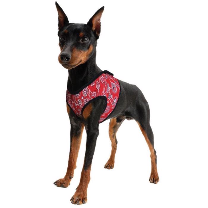 Hundar Cool Harness Comfy Design Red Western