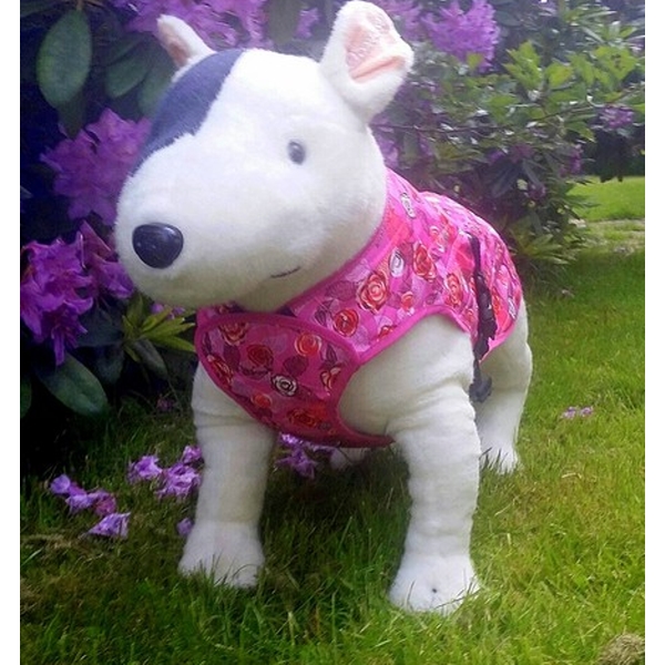 Hundkylväst Aqua Coolkeeper Färg Roses