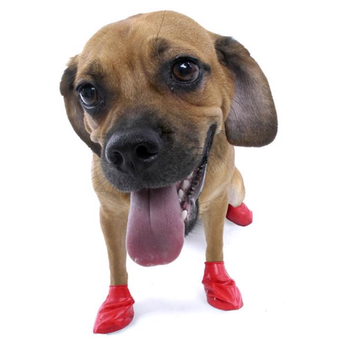 hundskor i naturgummi från Pawz red