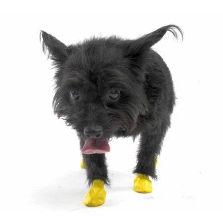 Pawz Dog Boots slitstarka Flexible Gummi Hundskor XXS Yellow
