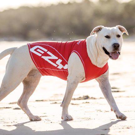 Ezydog Rashies UV 50 Plus Tröja med Solskydd