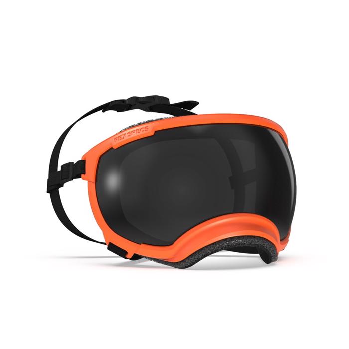 Hundglasögon REX Specs V2 Sol- och skyddsglasögon MEDIUM Ozark Orange