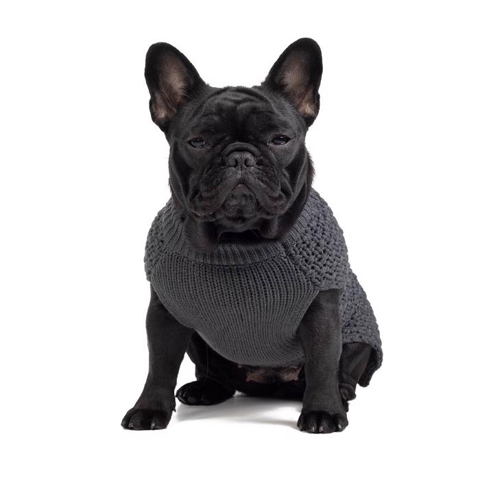 Hunter Hund Stickad Tröja Design Malmö Antracit