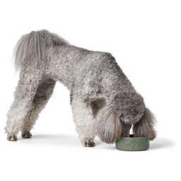 Hunter Keramik Hundskål Design Osby Khaki