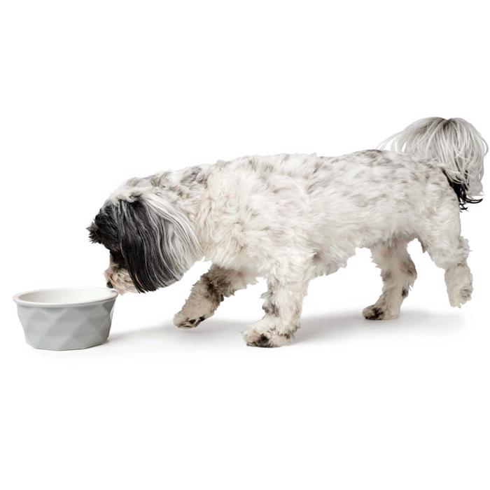 Hunter Keramisk hundskål i vacker design modell Eiby Grey