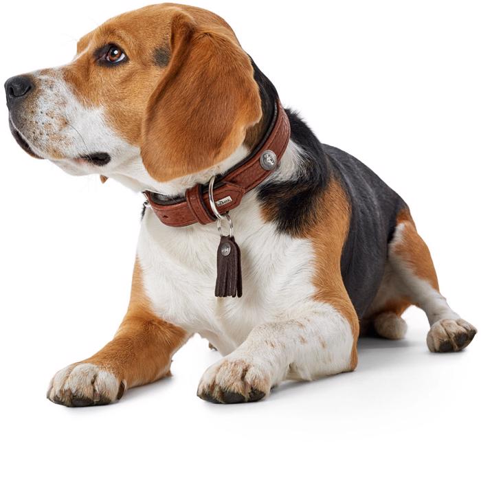 Hunter Cody Läder Halsband i Cognac och Mörkbrun