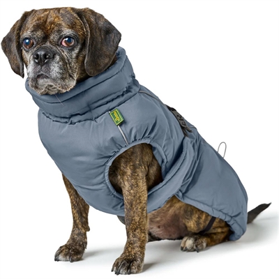 Hunter Hundjacka Mops & Co BredeRacer Paxson Blue