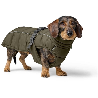 Hunter Paxson Hundjacka Långraser & Tax Oliv