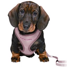 Trixie Puppies Starter Set Med Sele & Lina LILA Small/Medium