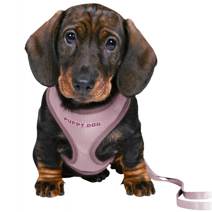 Trixie Puppies Starter Set Med Sele & Lina LILA Small/Medium