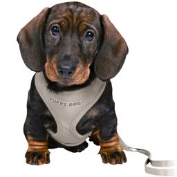 Trixie Puppies Startset Med Sele & Lina GRÅ Small/Medium