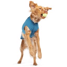 GoldPaw Stretch Fleece Pullover Hundtröja blå