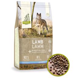Isegrim Steppe Lamb Adult Spannmålsfritt kvalitetsfoder 12kg